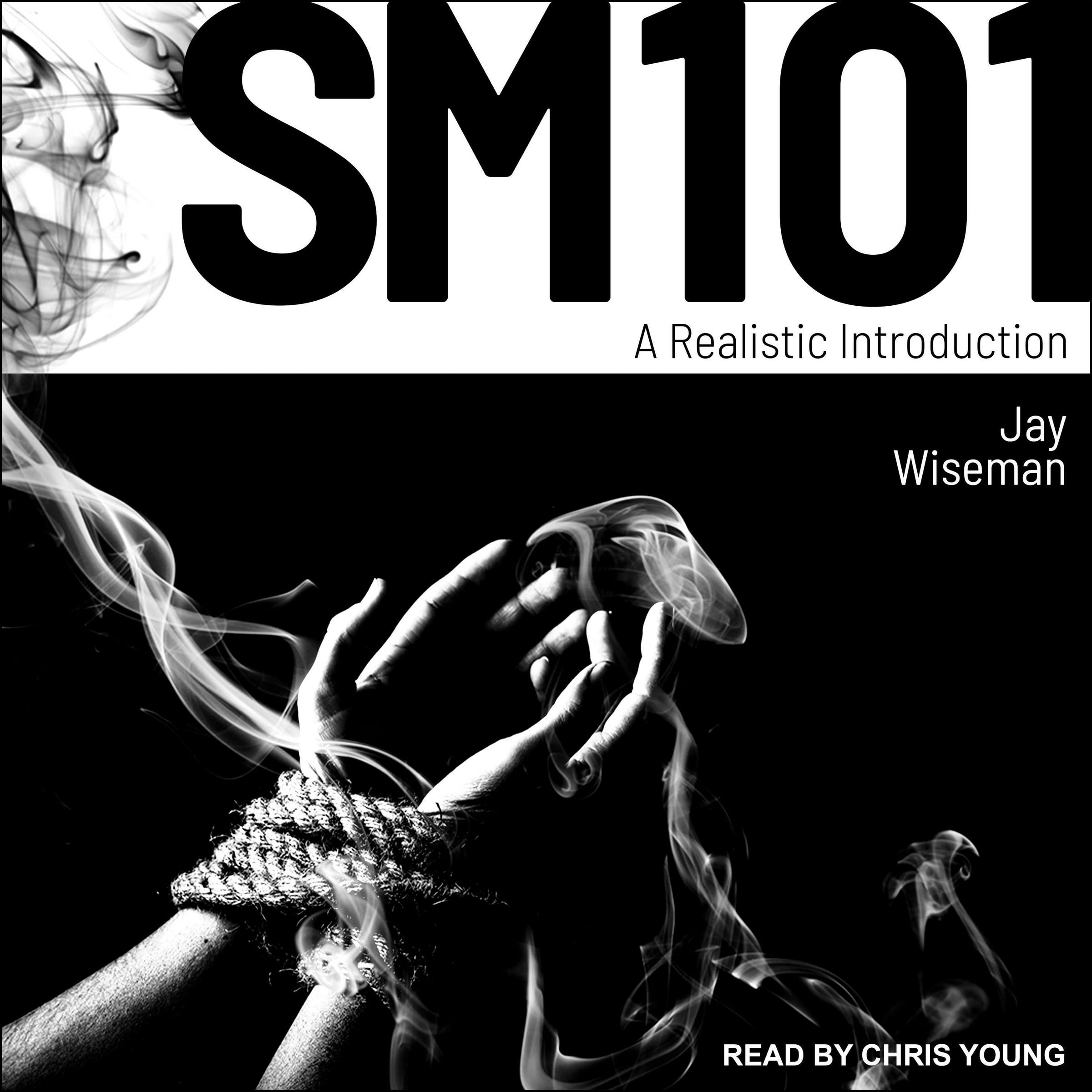 Sm 101: A Realistic Introduction
