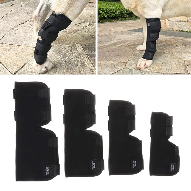 Foto 8 de 8 de 1 par de soportes para patas de perro, tobillo canino, pierna delantera, muñeca