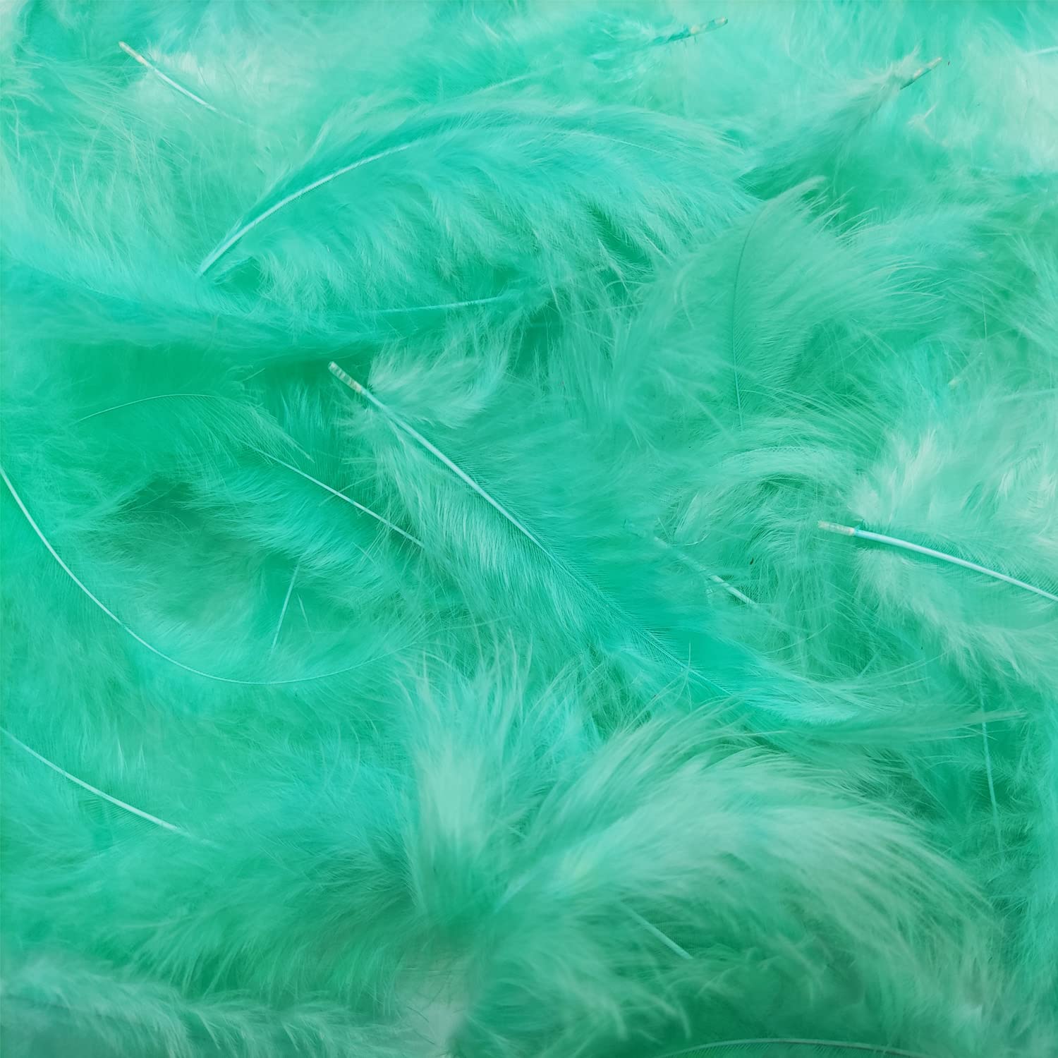 Green Feather 100pcs for DIY Craft Wedding Home Party Home Decorations