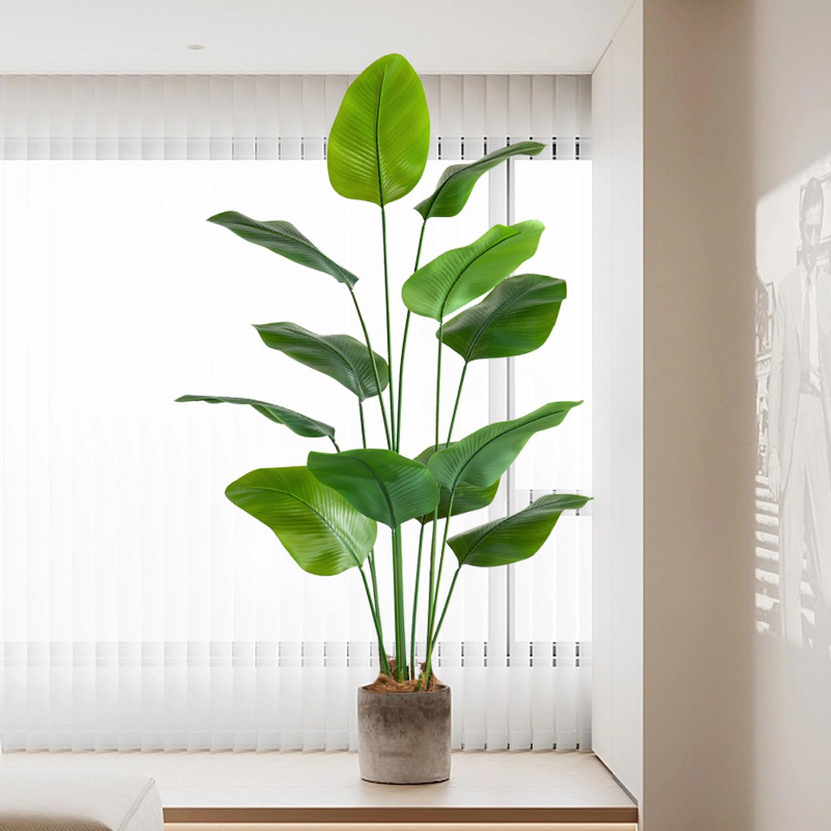 Amazon｜[LJKI] 人工観葉植物 極楽鳥花 ストレリチア 180cm フェイク