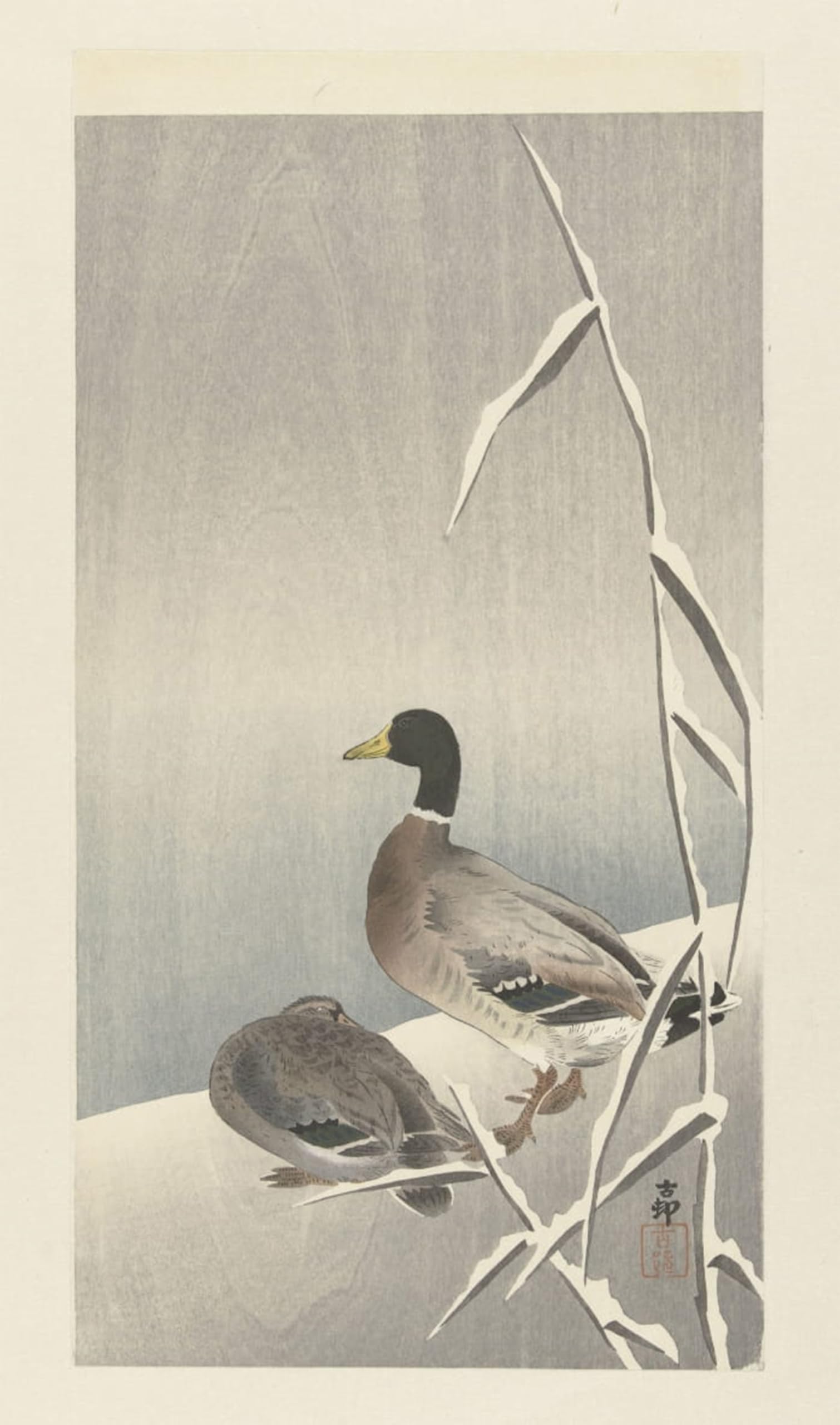 Tableaux Graffiti Art Mural d'Ohara Koson, poster moderne 60x90cm
