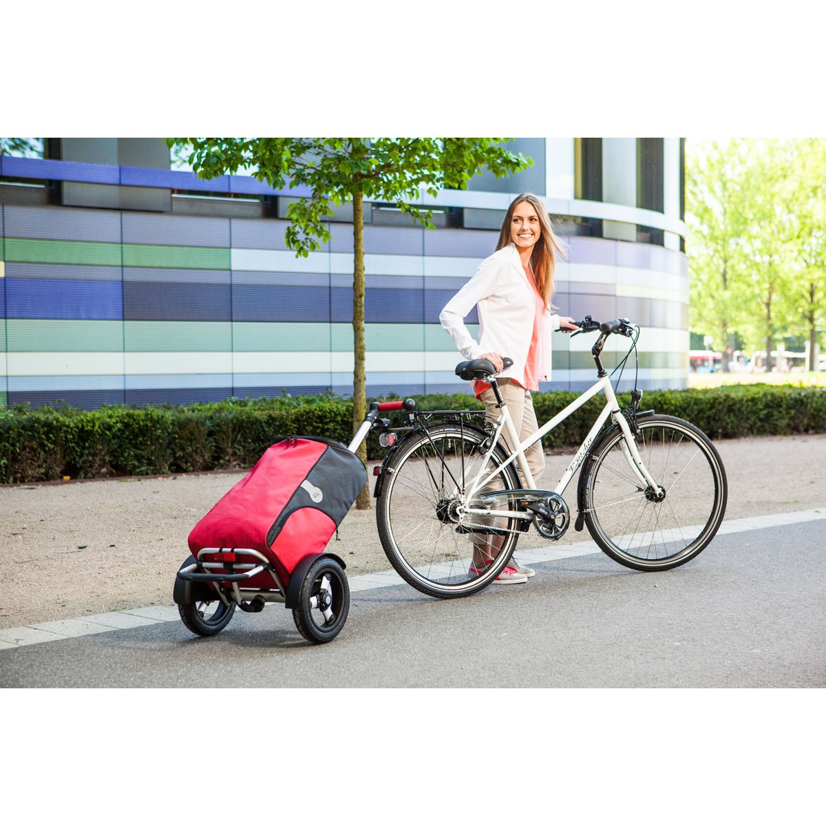 Andersen Shopper® Fahrrad Kupplung EasySnap (A1) für Pletscher Gepäckträger Sport & Freizeit