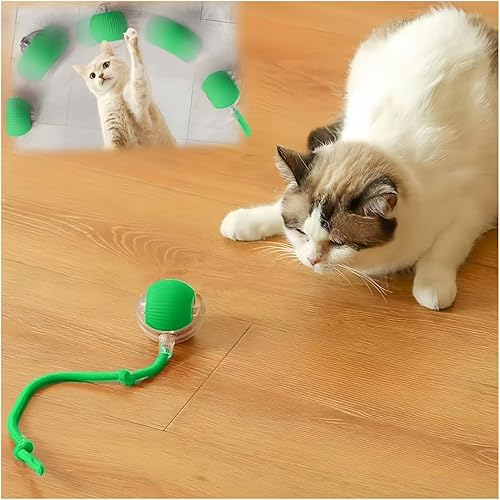 Juguetes interactivos para gatos de interior, bolas de gato de movimiento de agilidad, bolas de gato activadas por movimiento, juguetes para gatos