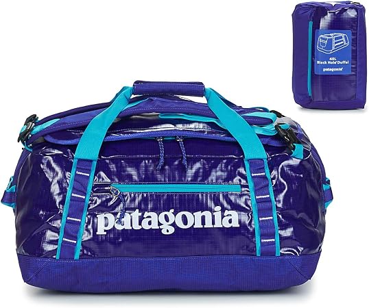 Patagonia Black Hole Duffel 40 litri vendita online Mountain eXperience