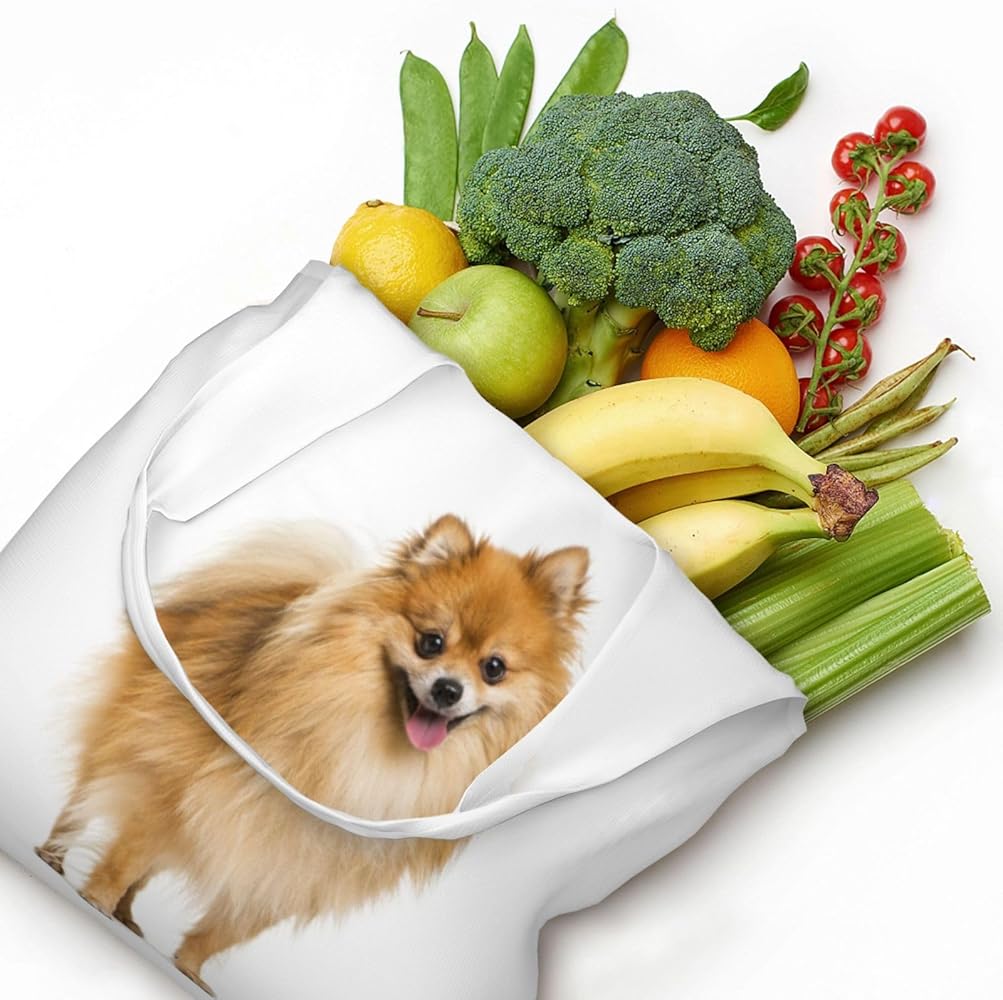 ポーチ＆エコバッグ♡ポメラニアン Amazon | [COOLEAD] ポメラニアン 犬柄 エコバッグ ショッピングバッグ