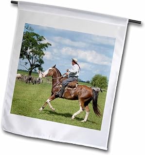 3dRose Argentina, Buenos Aires, gaucho horses - SA01 CMI0058 - Cindy Miller Hopkins 18 x 27 inch Garden Flag