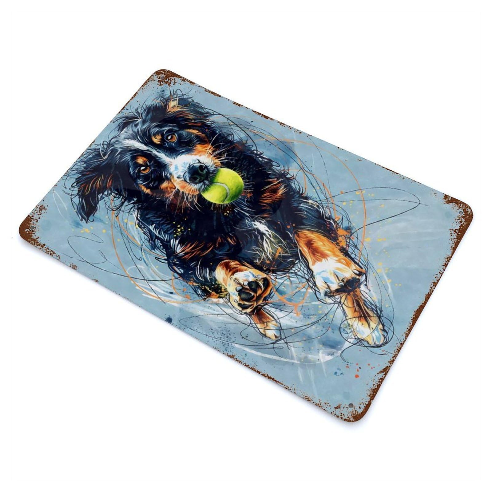 Australian Shepherd Ball 11.8"x7.9" Aged Metal Wall Plaque, Novelty Wall Decor for Shed, Workshop And Garage Wall Decor