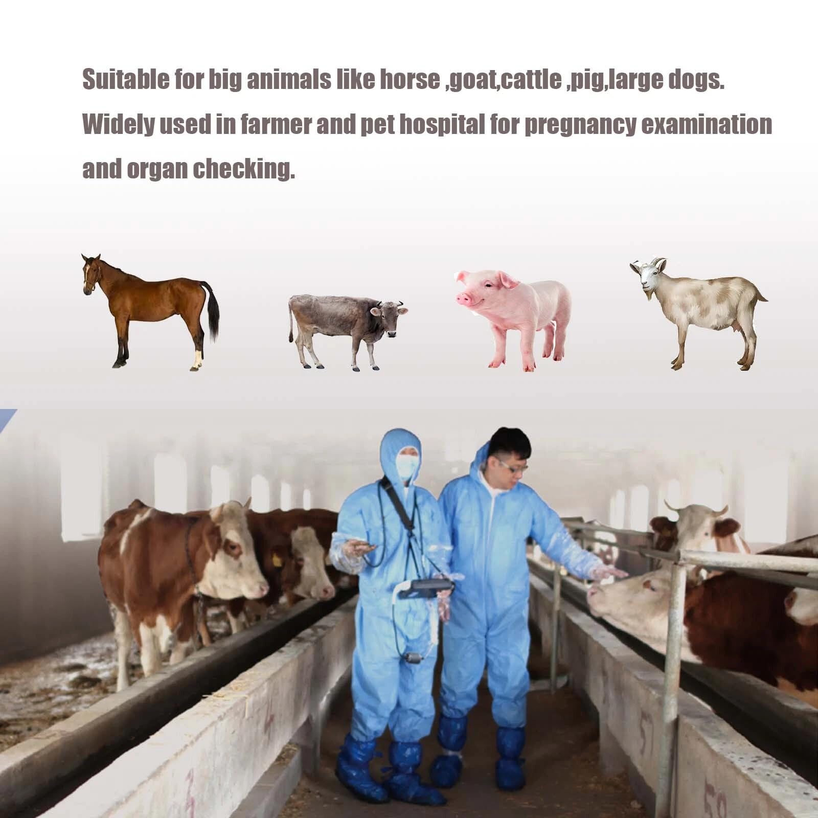 Máquina de ultrasonido veterinaria de doble uso rectal y convexa para ganado vacuno y caballos, escáner veterinario portátil para detección de embarazo y examen reproductivo