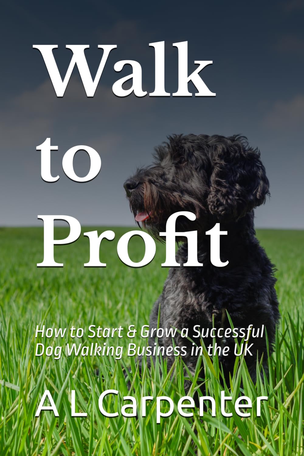 Walk to Profit: How to Start & Grow a Successful Dog Walking Business in the UK (Pet Care Service Book Series)