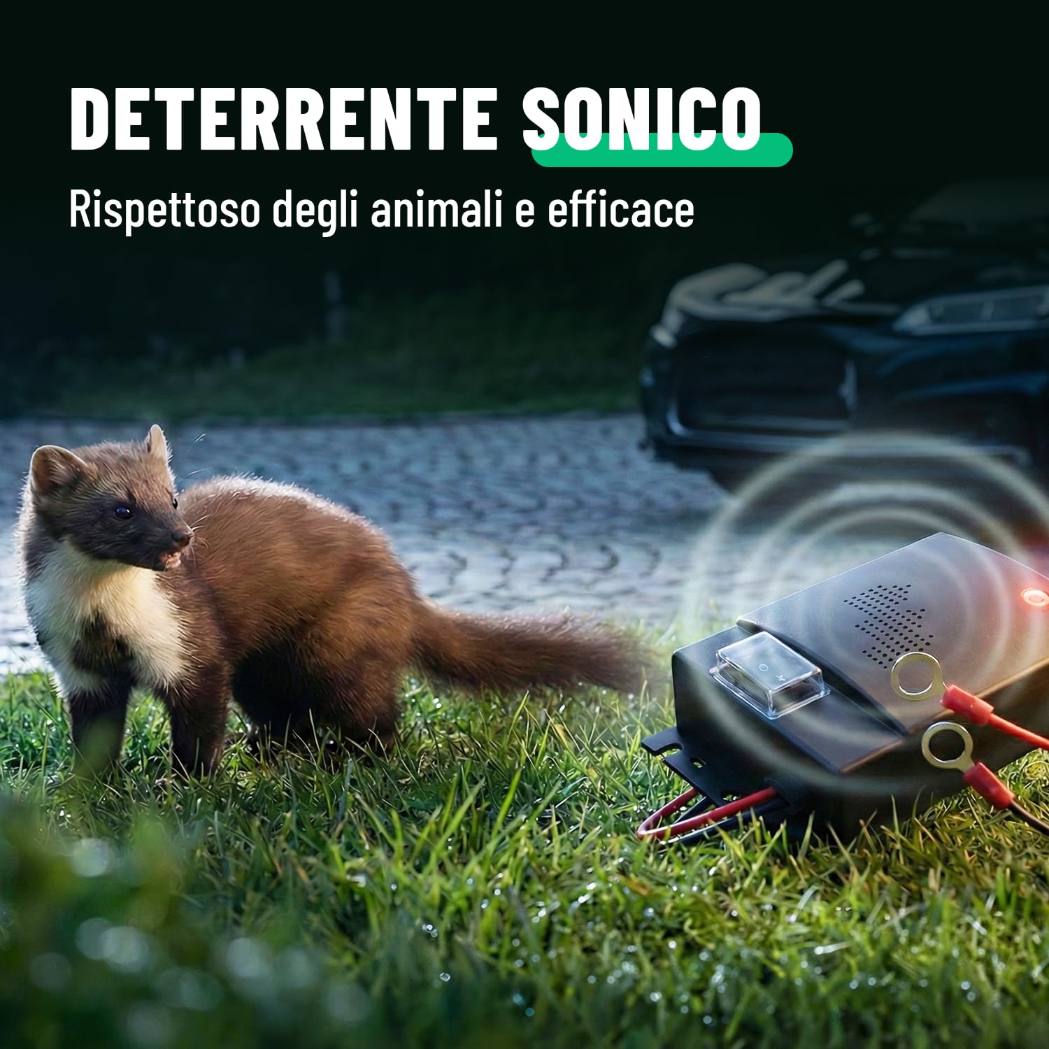 greate 3X Dispositivo antitasso per Auto con connessione Batteria 12V - dissuasori piccioni ultrasuoni - dissuasori Uccelli ultrasuoni