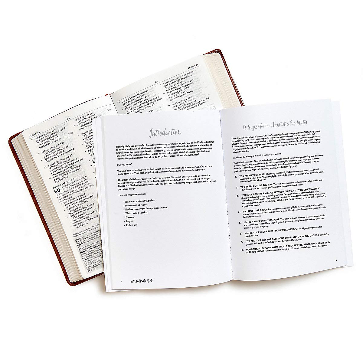 Entrusted - Bible Study Book: A Study of 2 Timothy - Image 4