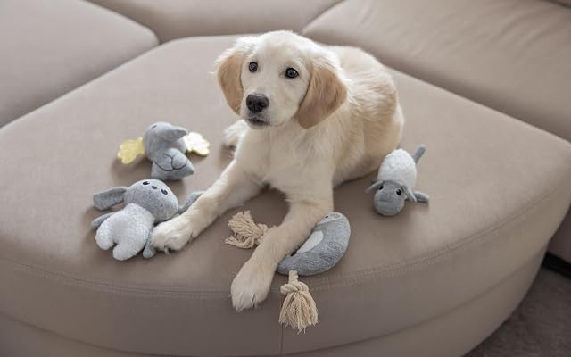 Foto 6 de 7 de Kerbl Pet Oveja de Juguete Cachorro Blanco/Gris
