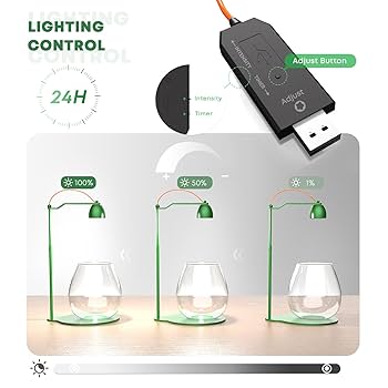 Amazon.com: FZONE Terrarium with Light - Moss Micro