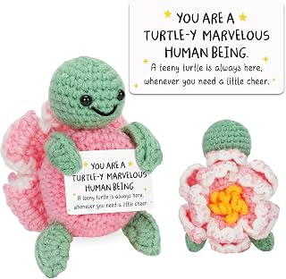 HEXMOZ Turtle Positive Emotional Support Crochet Gifts - Inspirational, Motivational Gifts, Mothers Day Ideas for Women, Friends, Sisters, Besties, Coworkers - Thank You, Appreciation, Cheer Up