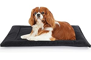 MABOZOO Indestructible Dog Bed for Aggressive Chewers