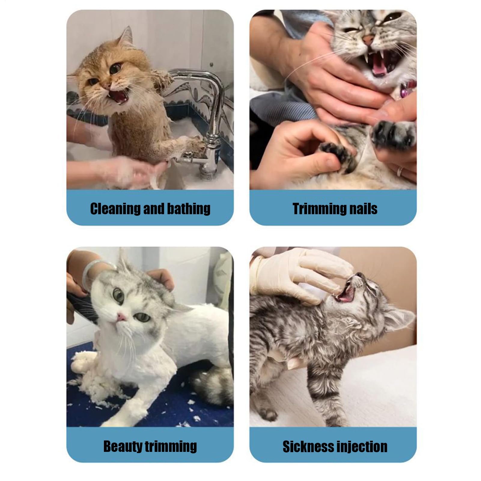 Bozal de Burbujas para Gato, Bola de Cabeza de Gato para Aseo con Botas, Accesorios antiarañazos para Mascotas, para baño, Lavado, Recorte, visitas veterinarias, Viajes
