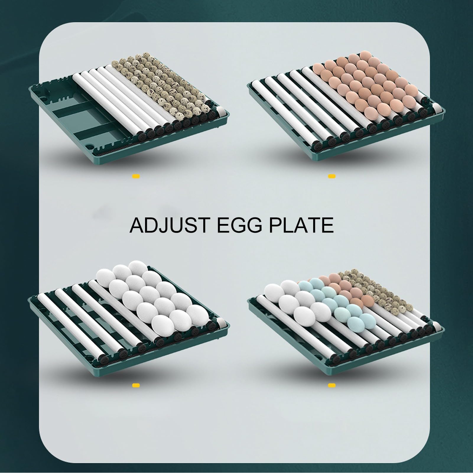 Controlador de Incubadora de Huevos, Controlador de Temperatura de Incubadora de Fácil Observación, Luz LED con Giro Automático para Laboratorios (Enchufe europeo 220V 38 huevos)