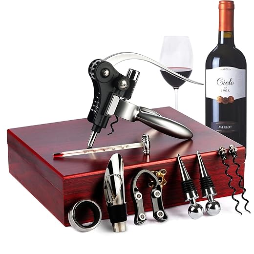 9-Pieces Corkscrew Wine Opener Set, Stainless Steel Cork Screw Rabbit Wine Bottle Opener Kit Including Foil Cutter, Pourer, Vacuum Wine Stopper Corkscrews etc, Ideal Wine Sets Gifts for Women & Men