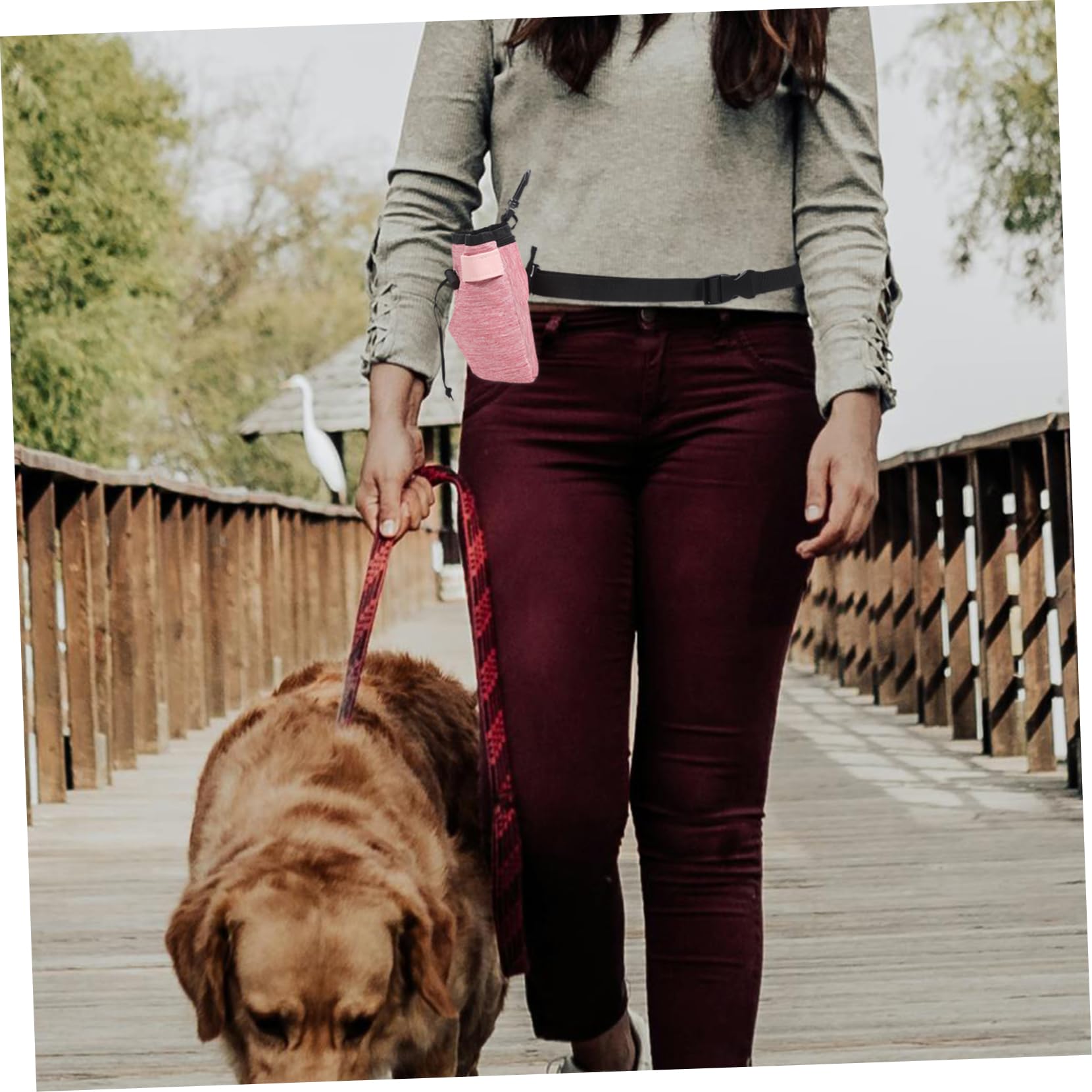 BESPORTBLE 4piezas Bolsa De Adiestramiento para Perros Almacenamiento De Snacks y Accesorios para Actividades Al Aire Práctica y Funcional