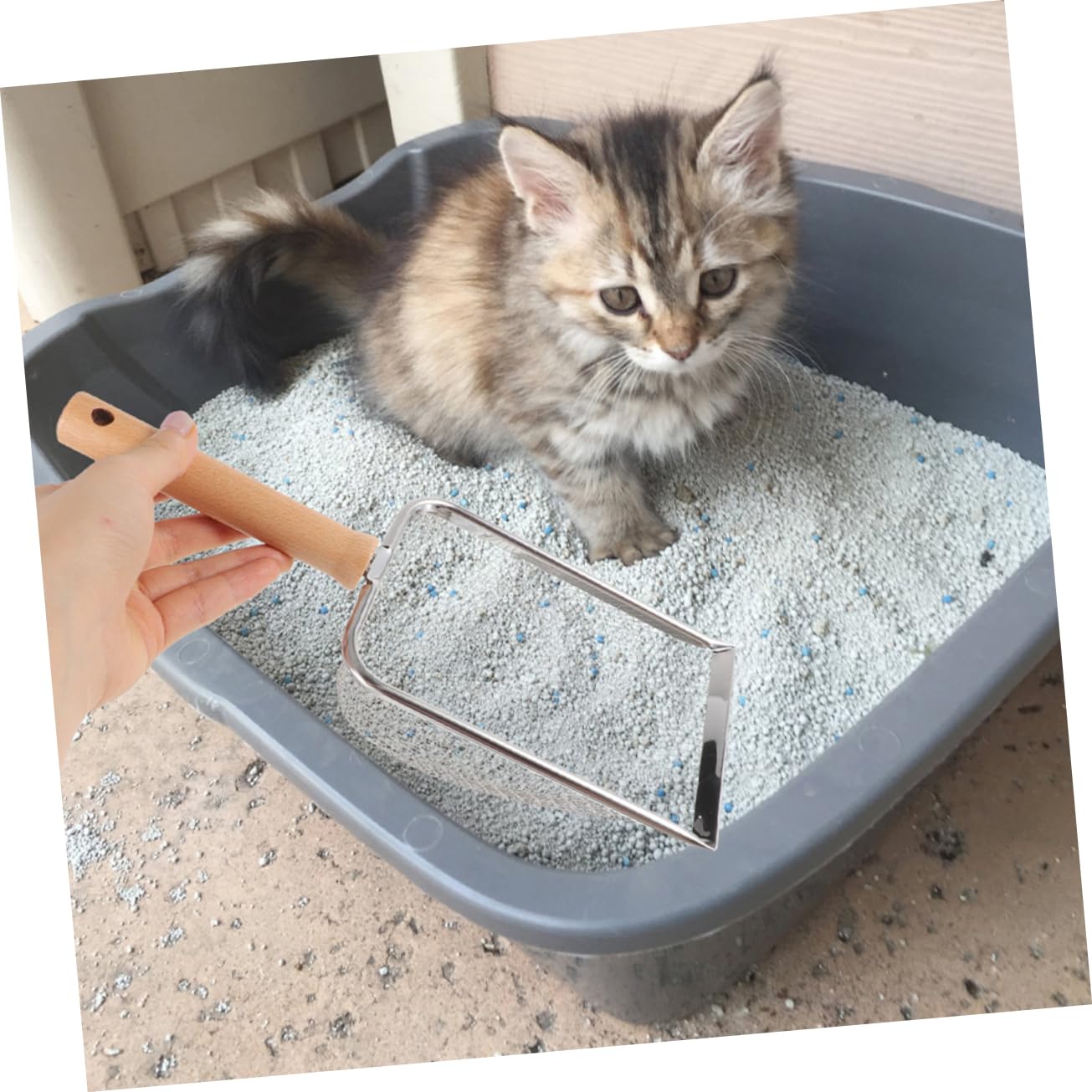 Pala para Arena de Gato, Diseño de Acero Inoxidable for una Limpieza eficiente los excrementos Gato for el Mantenimiento la Caja Arena. Características filtradas