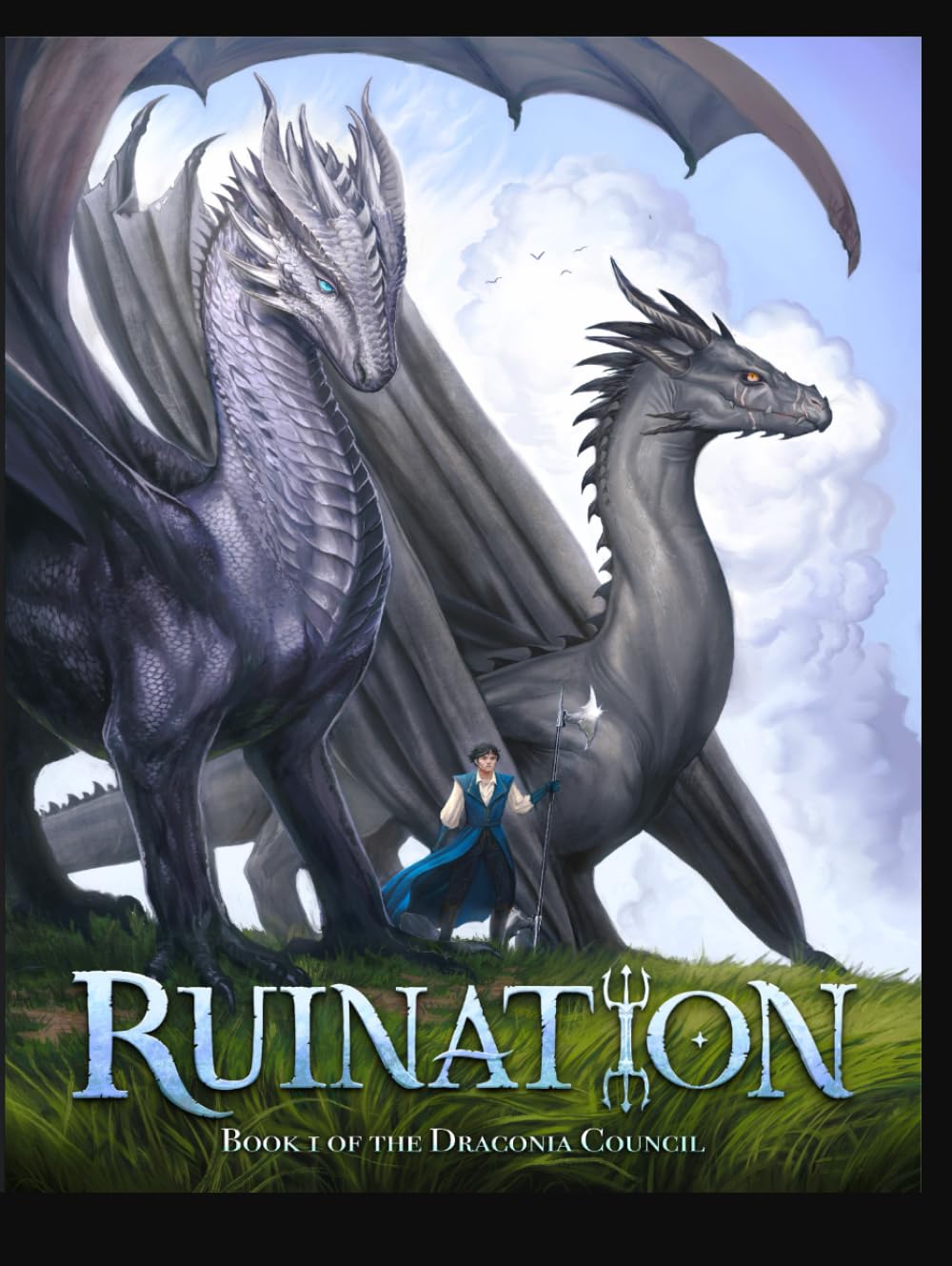Ruination: A Fantasy Novel by (The Draconia Council Novels)