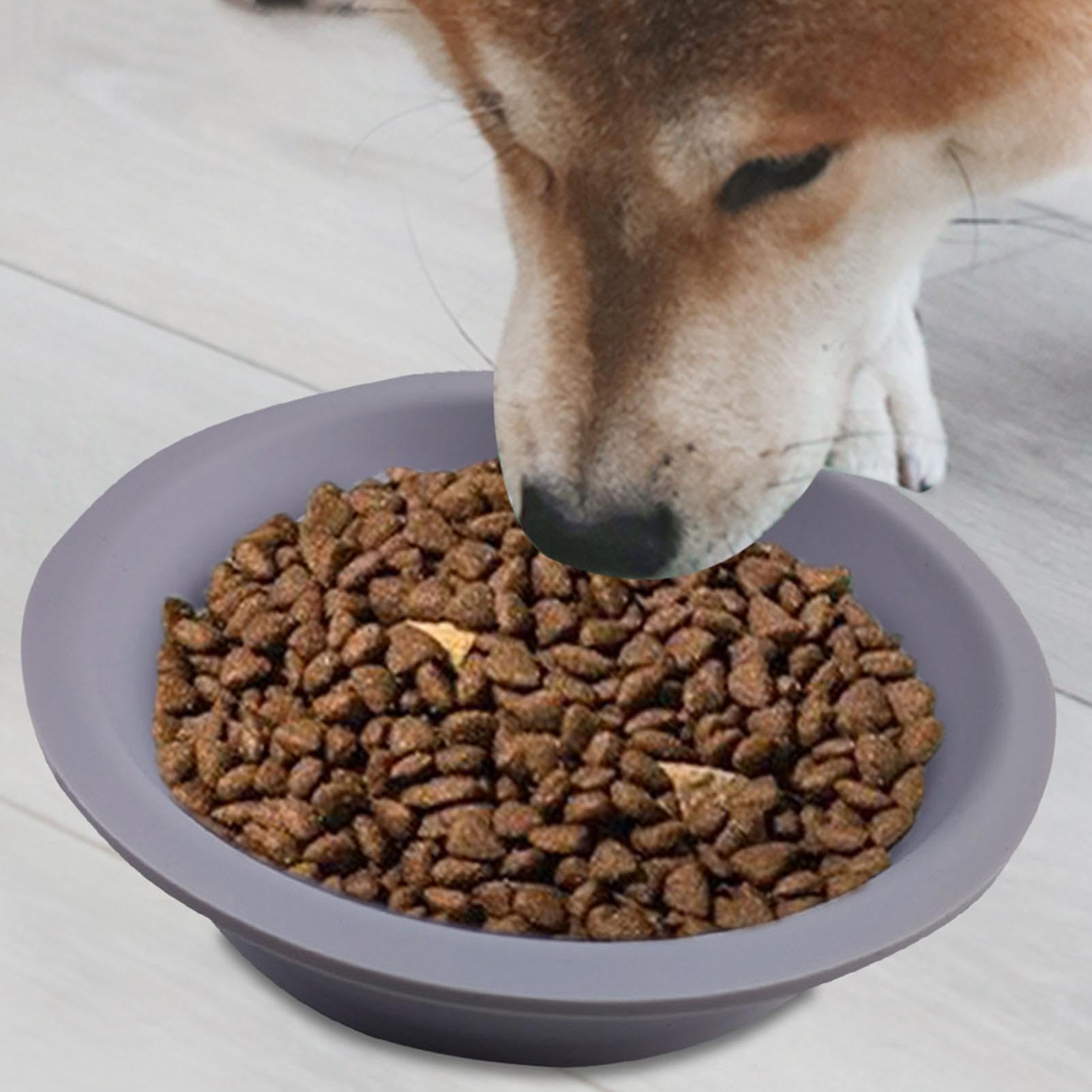 Mangiatoia per cani, per gatti con alimentazione lenta | Simpatico