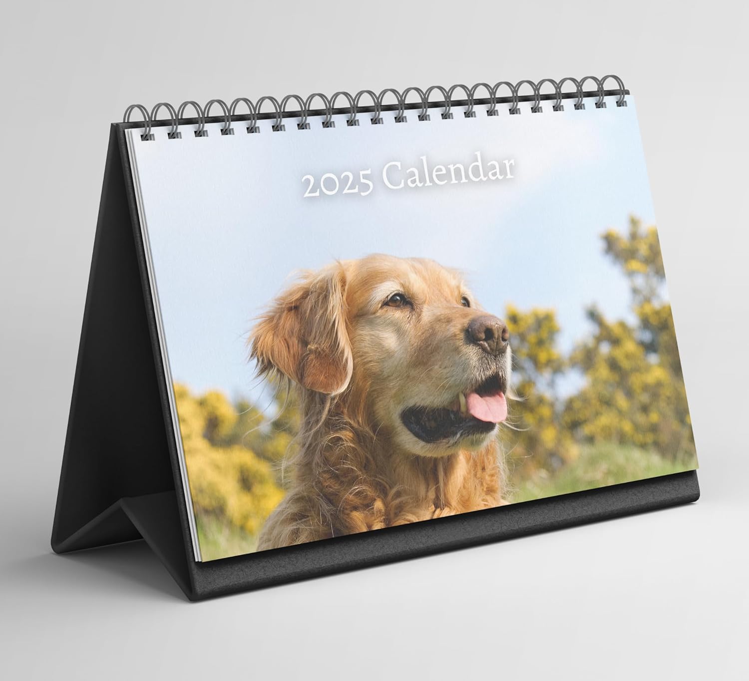 Golden Retriever Desk Calendar 20252026 Standing Flip