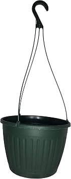 Landmark 10" Imperial Plastic Hanging Basket Green, 5