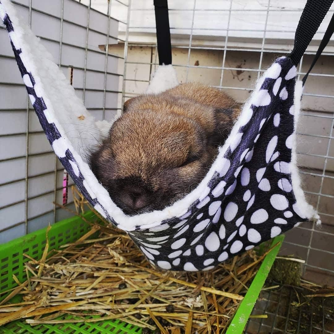 AKIRO Pet Cage Hammock, Pet Hanging Bed Round Dot Tower Zebra Leopard Pattern Warm Pet Hammock, Soft Plush Hanging Pet Cat Bed Mat Winter Warm Cotton for Kitten Cat Cage