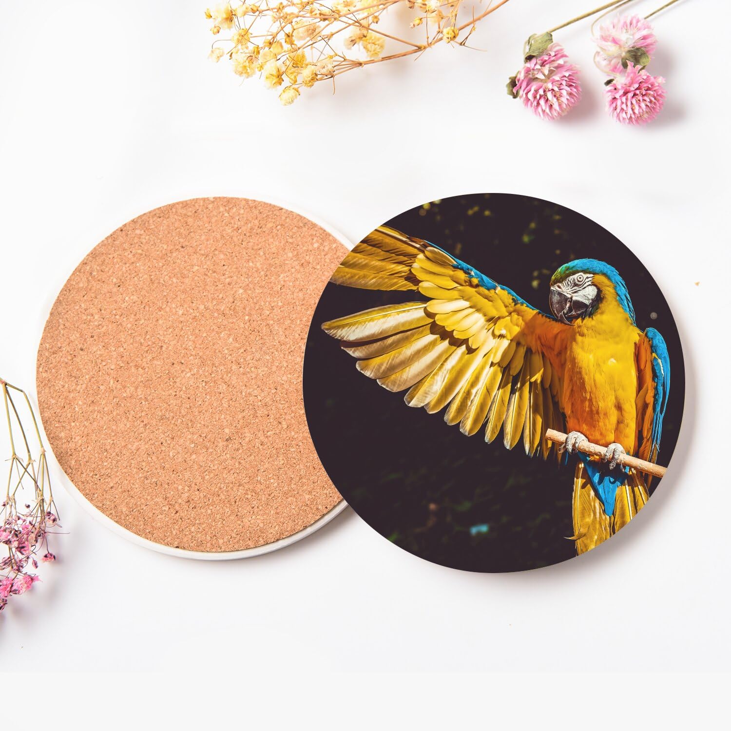 Sottobicchiere rotondo in ceramica – Splendido pappagallo giallo e blu uccello esotico – Set di 6 (108 x 108 mm)