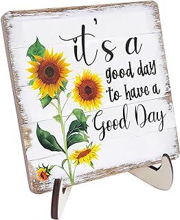 Positive Mindset Decor Desk Wooden Plaque, Inspirational Encouragement G...