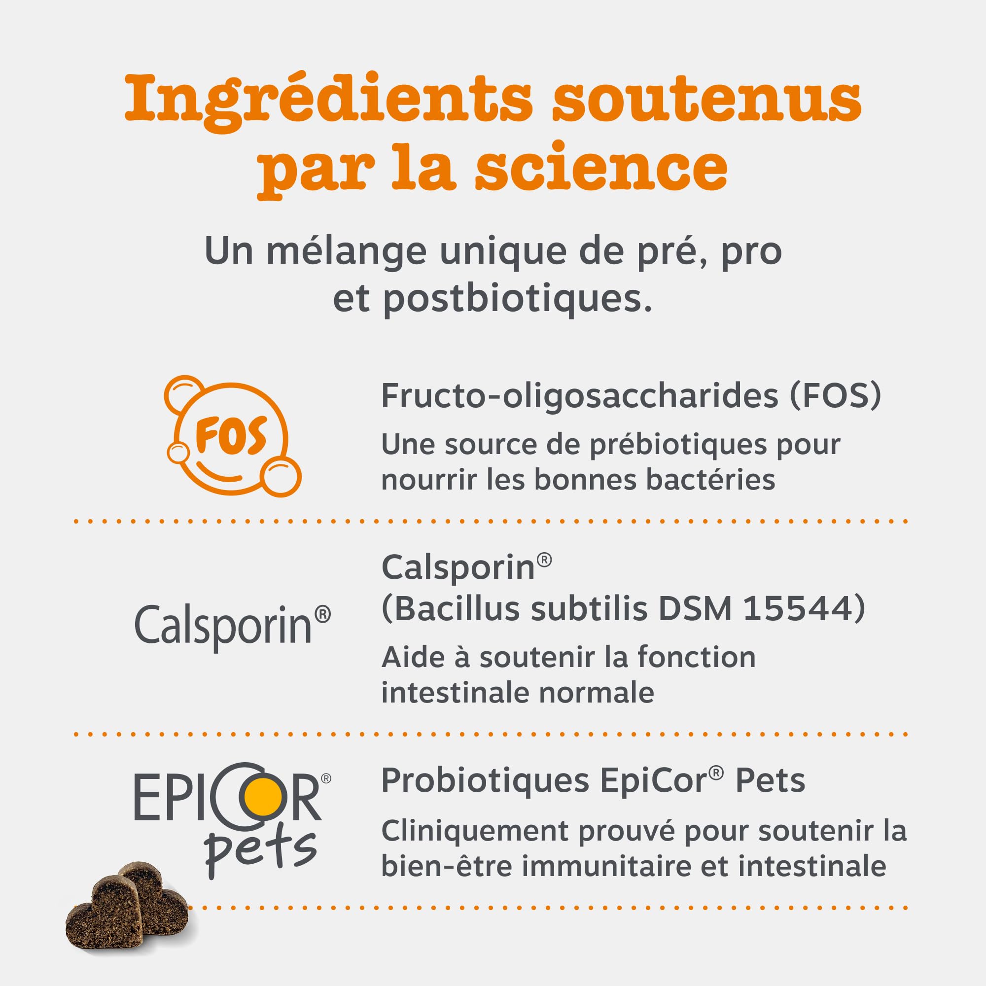 Zesty Paws Bouchées Probiotiques Chien | Supporte Digestion, Équilibre Intestinal, Système Immunitaire | Prébiotiques, Probiotiques, Postbiotiques | Usage Quotidien | 90 Bouchées