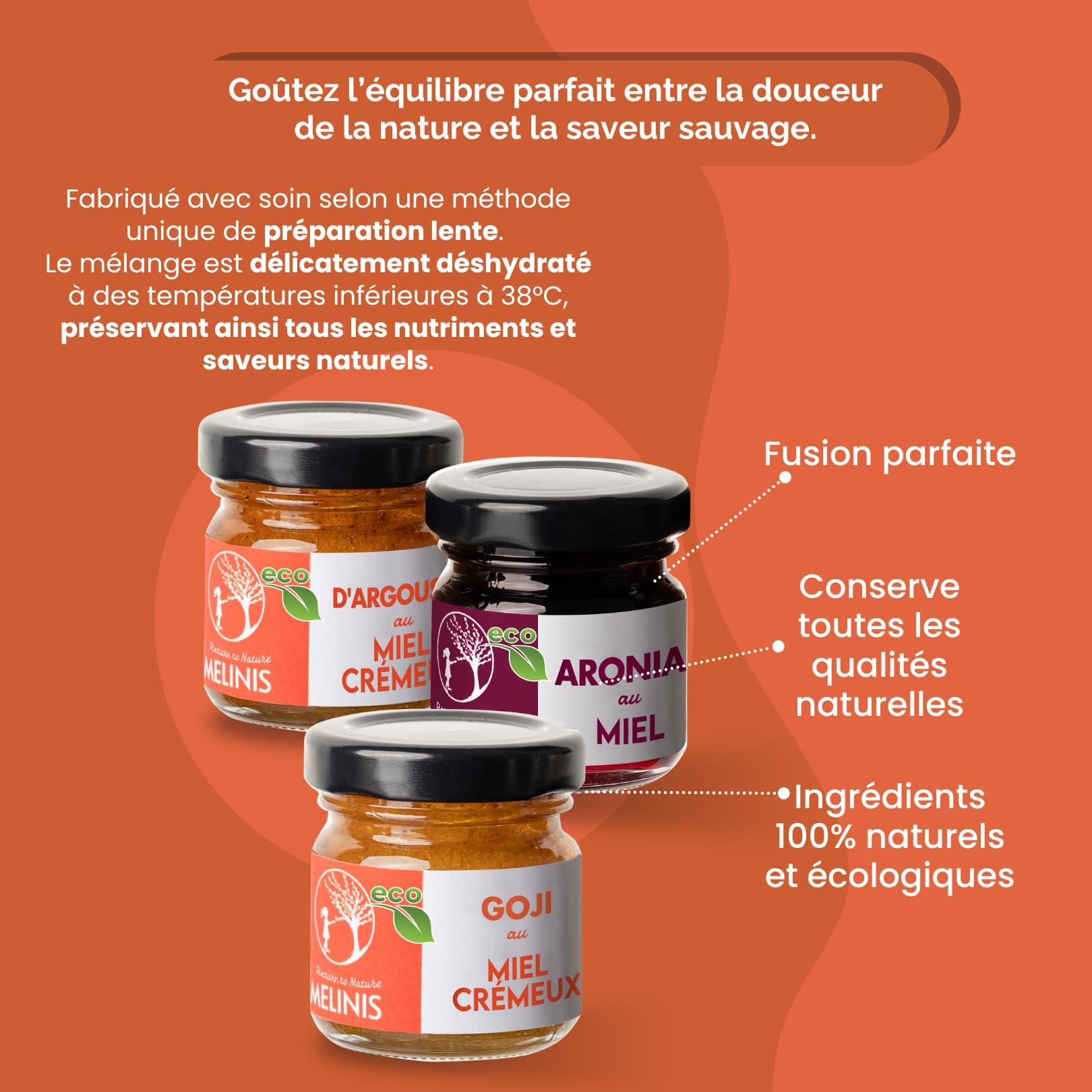 Coffret Dégustation “Explosion de Vitamines” 3 × 40 g – Miel Bio Tartinable à l’Argousier, à l’Aronia et au Goji – Sans Sucre Ajouté – Pour Petit-Déjeuner, Snacks et Cadeaux Gourmands – Melinis