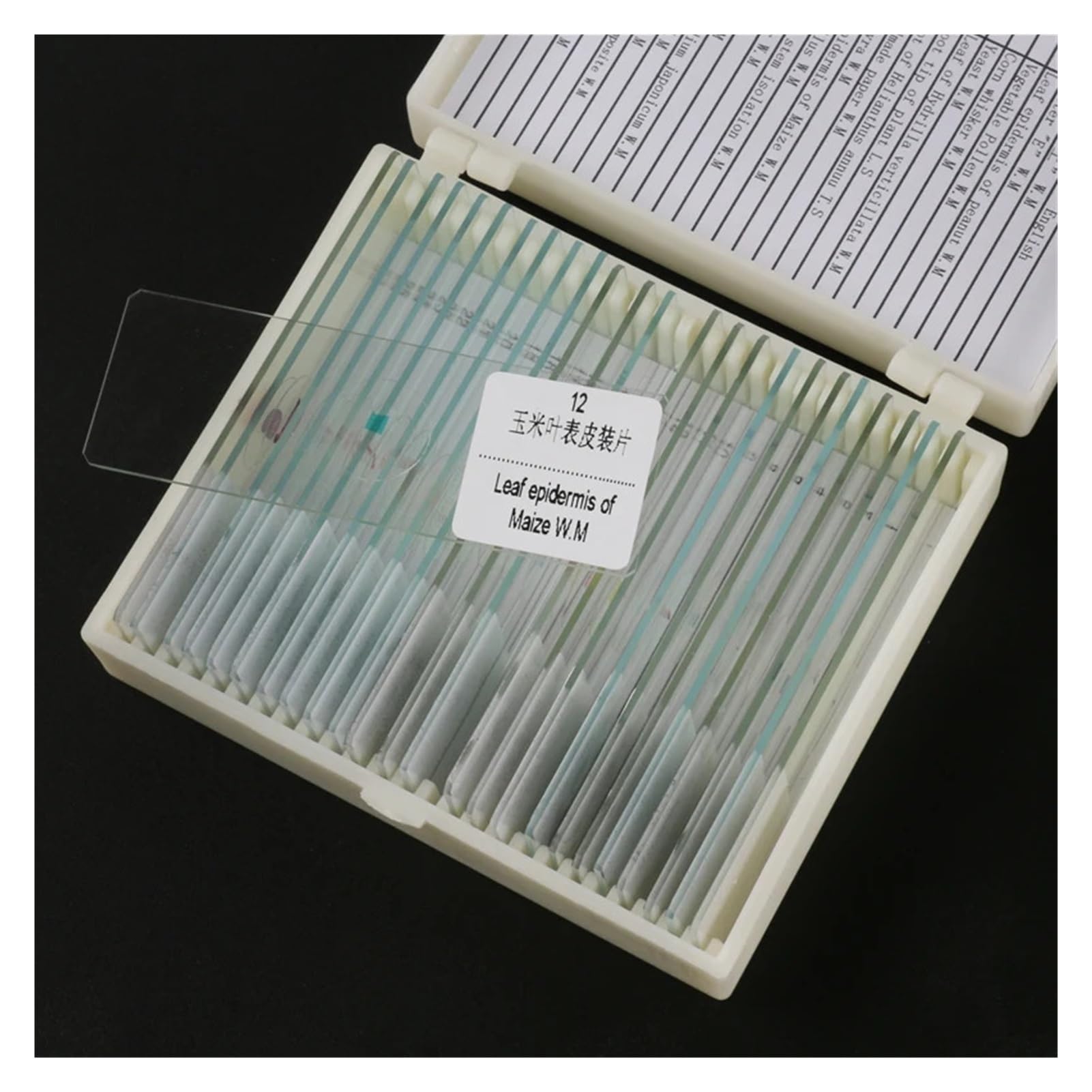 Diversi Tipi di vetrini for microscopio Biologico preparati for Lo Studio 'educazione alle scienze biologiche degli Studenti(50pcs)