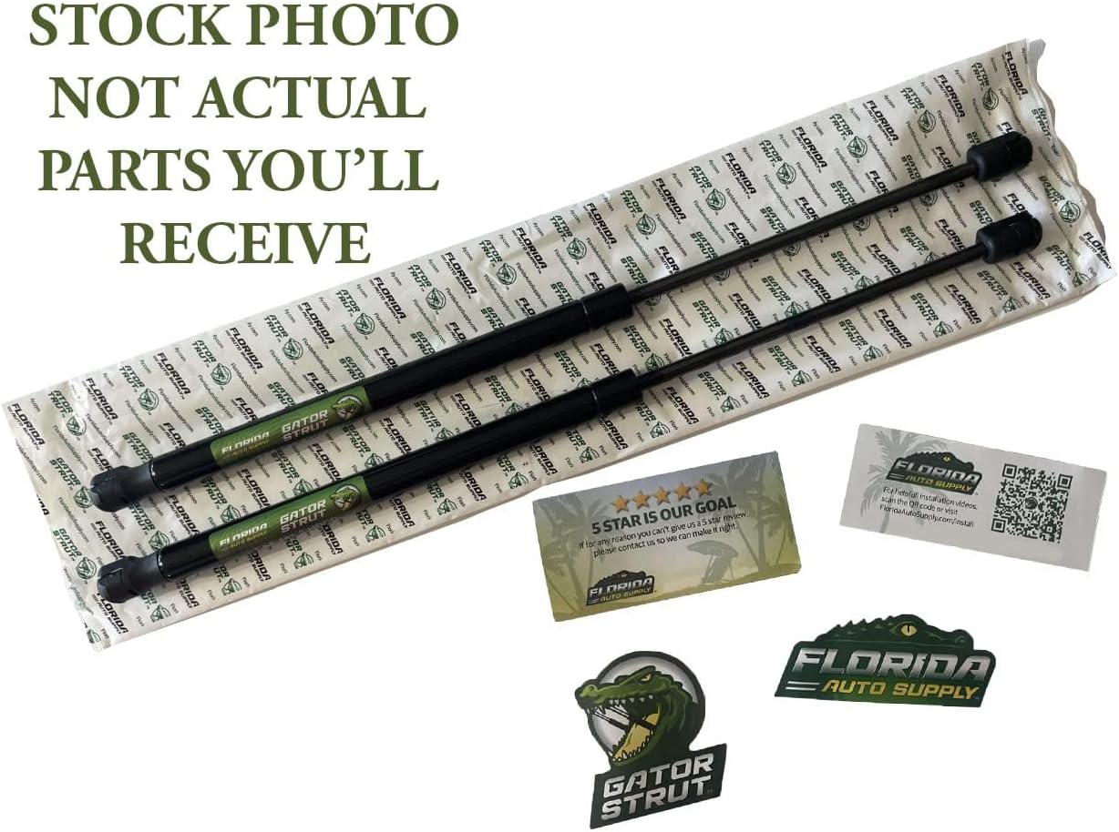 2 Trunk Lift Supports, Compatible with: 2005-2010 Pontiac G6 Sedan, 2006-2009 Pontiac G6 Coupe,2007-2009 Saturn Aura - Gas Spring by Florida Auto: FAS-560-2