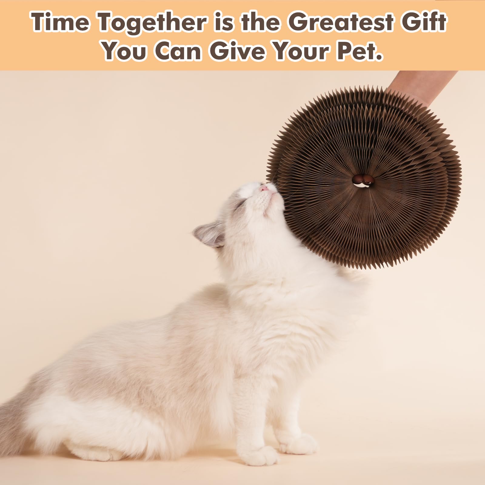 Griffoir pour Chat Magique Organ – Jouet Interactif en Carton avec Balle, Circuit de Jeu Evolutif pour Chatons et Chats d'Intérieur, Puzzle d'Intelligence et Griffoir Pliable