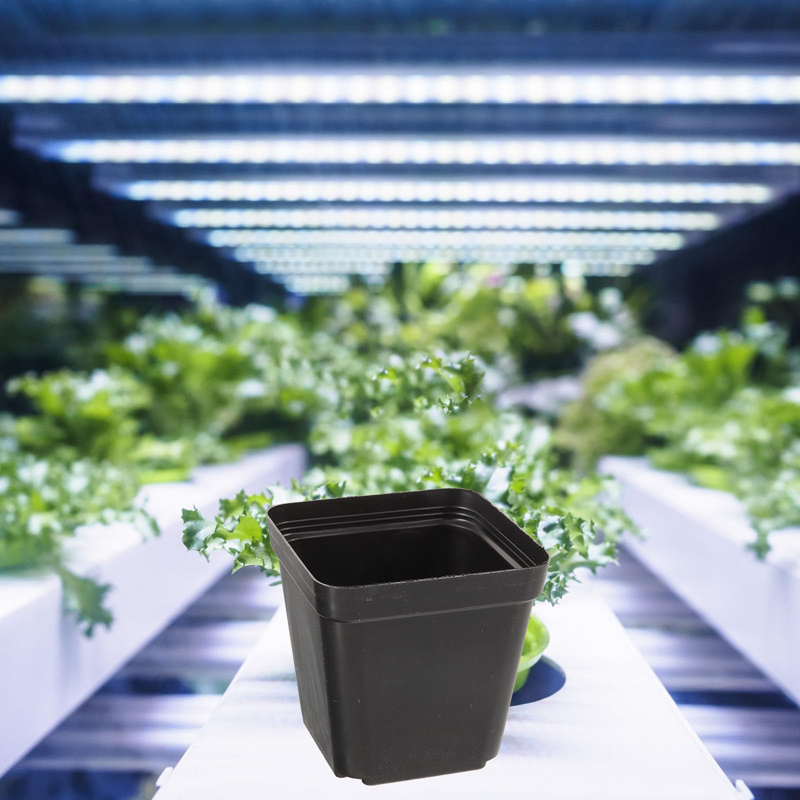 Housoutil 120 Pièces Pot Carré en Plastique Noir Léger avec Drainage, Réutilisable pour Semis et Culture de Succulentes, pour Jardinage et Plantation Moderne