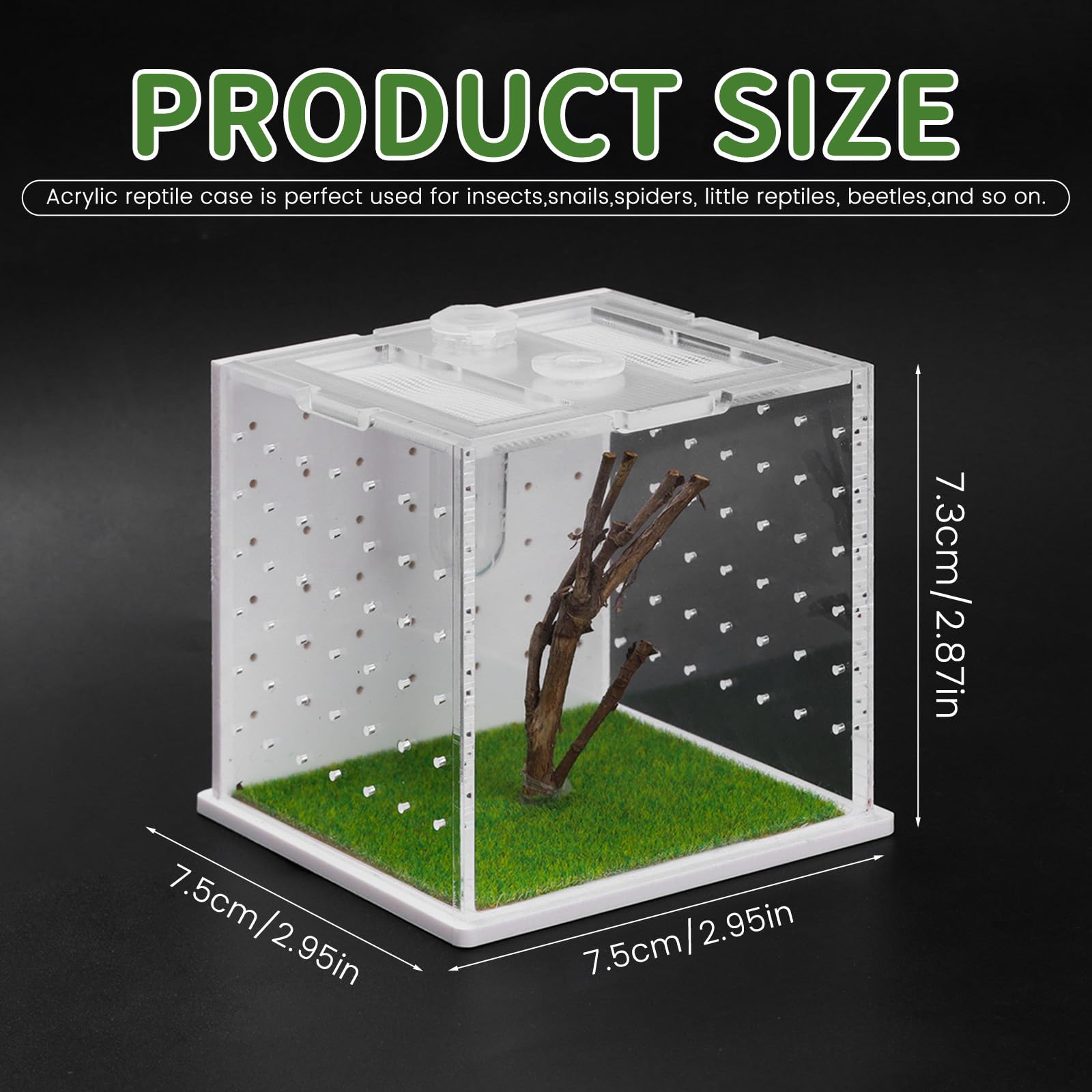 Acrylic Jumping Spider Enclosure, 2.95×2.95×2.87in Transparent Reptile Terrarium - Image 2