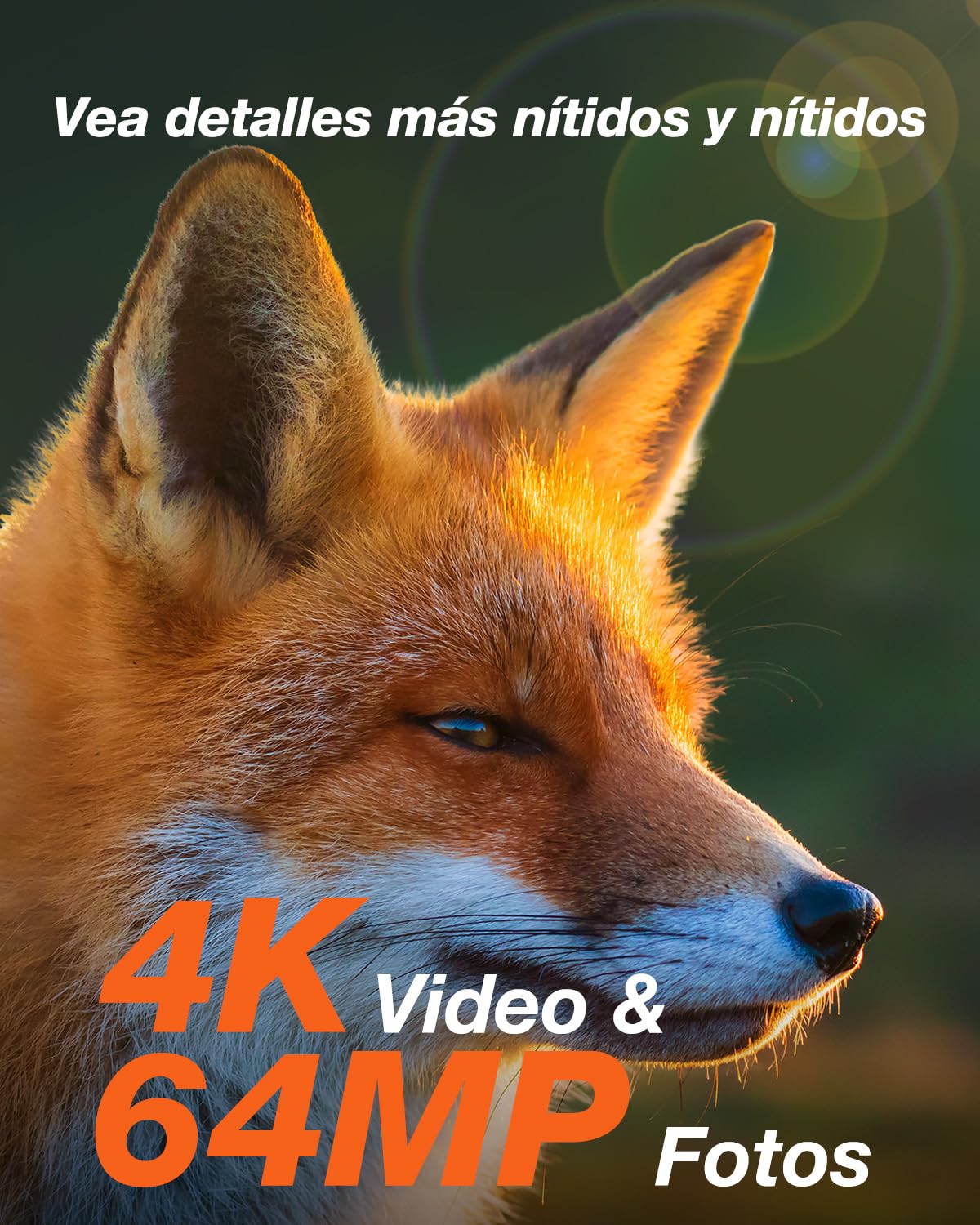iZEEKER Cámara de Caza Solar, 4K Ultra HD 64MP Camara Fototrampeo con 32GB Micro SD Karte & 5200mAh Batería Recargable, Envio al Movil App y WiFi Bluetooth, Visión Nocturna, IP66 Impermeable