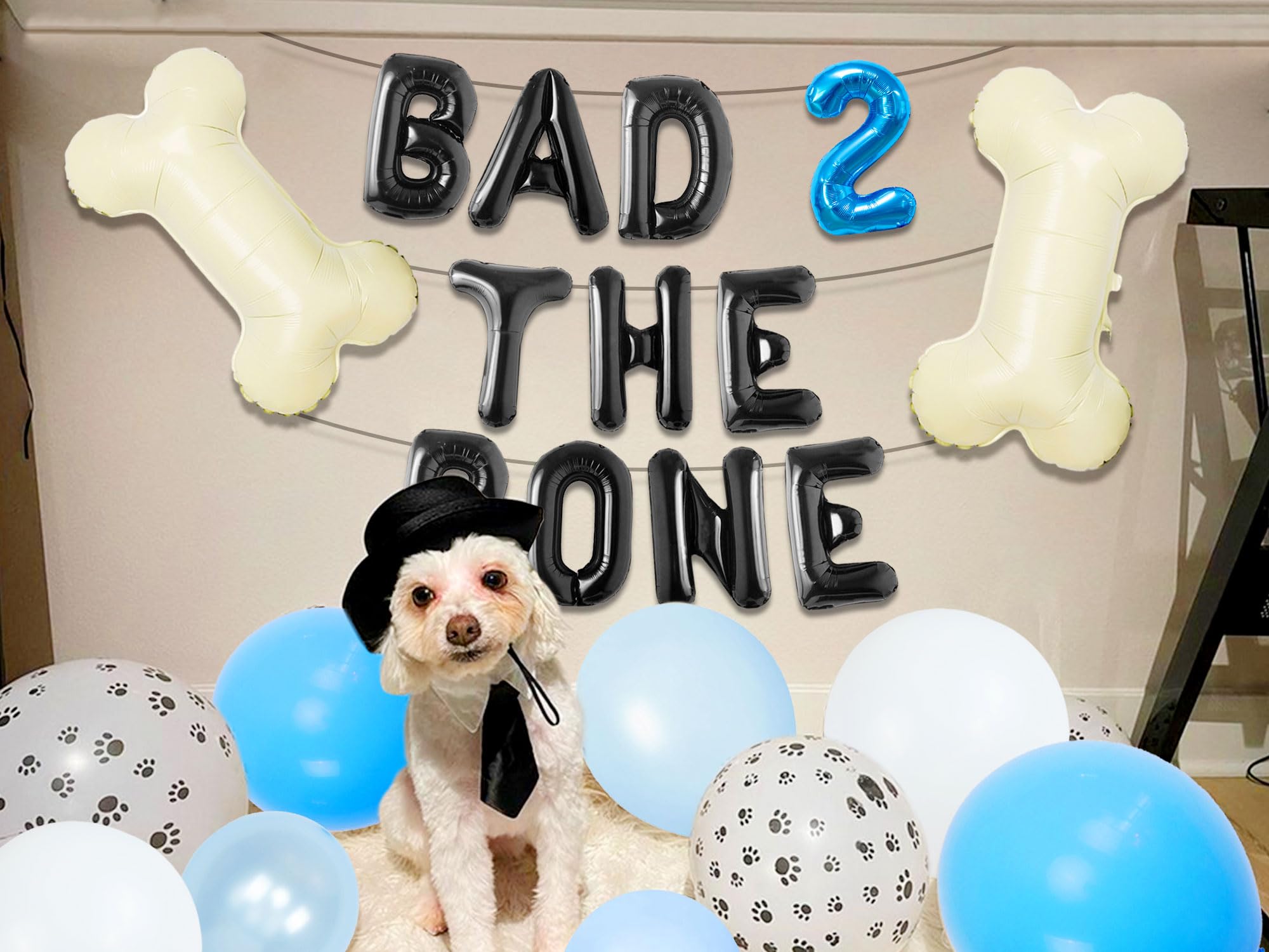 Fondale per Fotografia,Sfondo di Buon Compleanno Cane Sfondo di Decorazioni per Feste di Compleanno per Cani per Animali Domestici Forniture per Festa Banner di Compleanno Fondale Foto