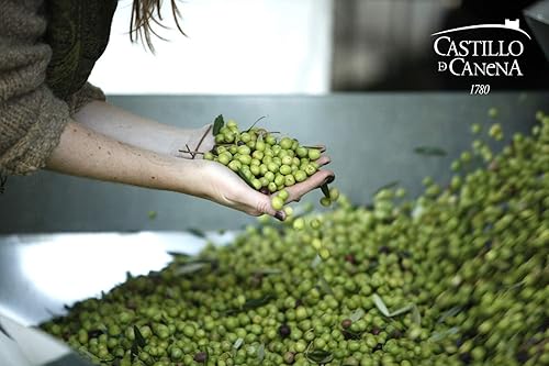 Miniatura 2 de Castillo de Canena Aceite de Oliva Virgen Extra | Primer día de cosecha | 2021/2022 | Arbequina | 16.9 fl oz | De España |