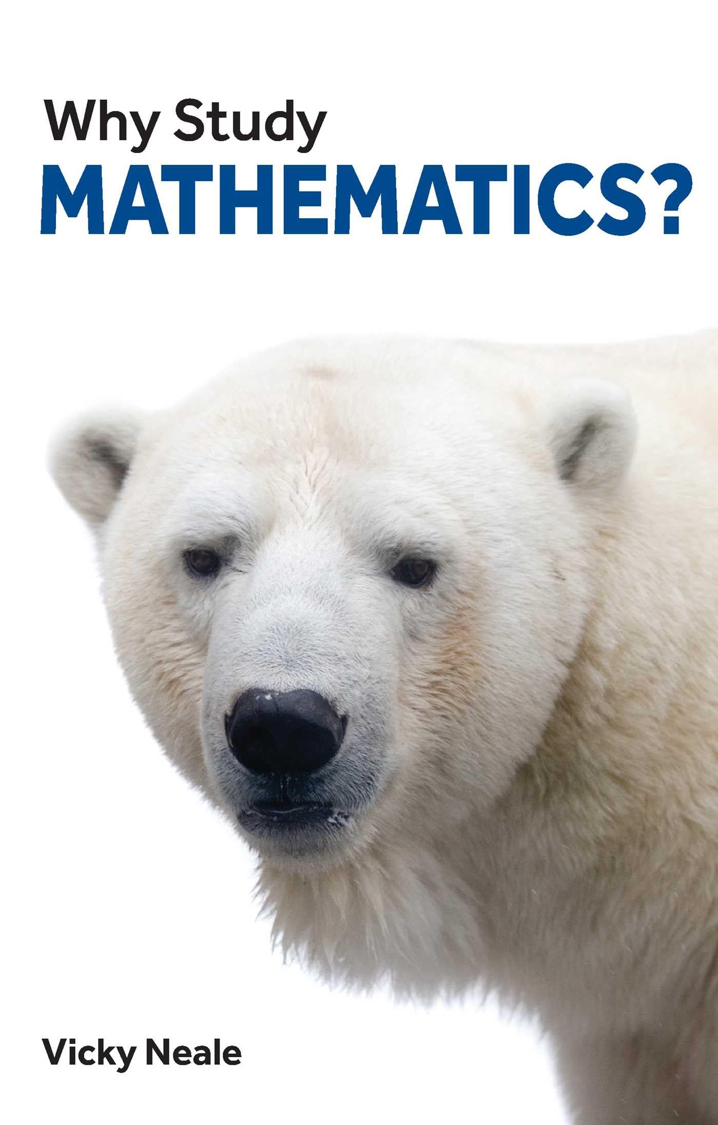 Why Study Mathematics? by Vicky Neale (Paperback Book)