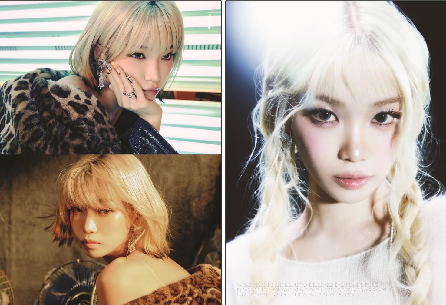 Amazon.co.jp: チェウォン グッズ 写真集 Premium Photo Book