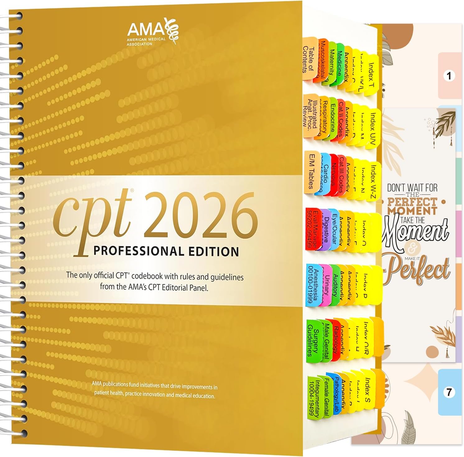 Index Tabs for CPT 2025/2026 Professional Edition. Color-Coded and ...