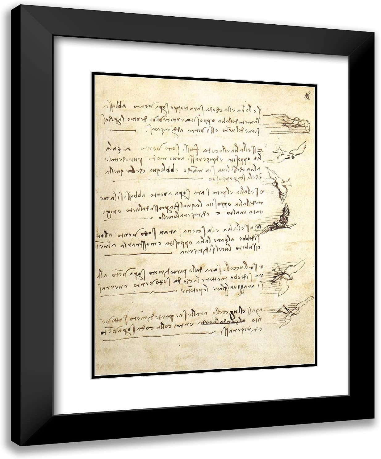 ArtDirect Da Vinci, Leonardo 19x24 Black Modern Framed Art Print with Double Matting Titled: Codex on the Flight of Birds I