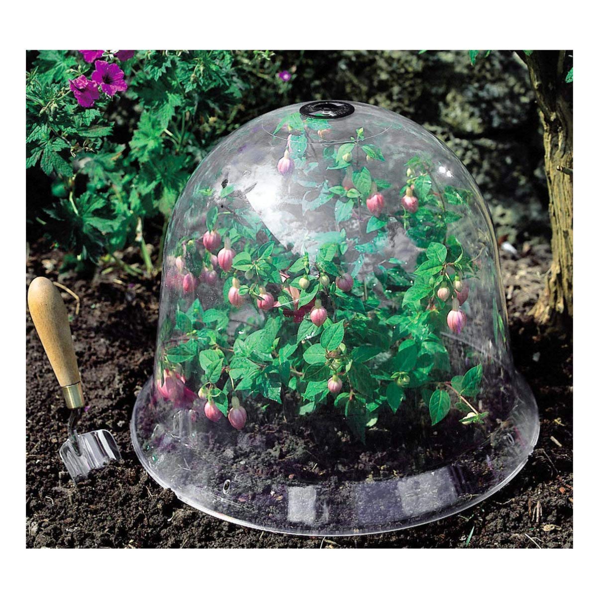 10 Cloches De Jardin Réutilisables 16x18cm - Protection Anti-escargots Et Gel Pour Plantes