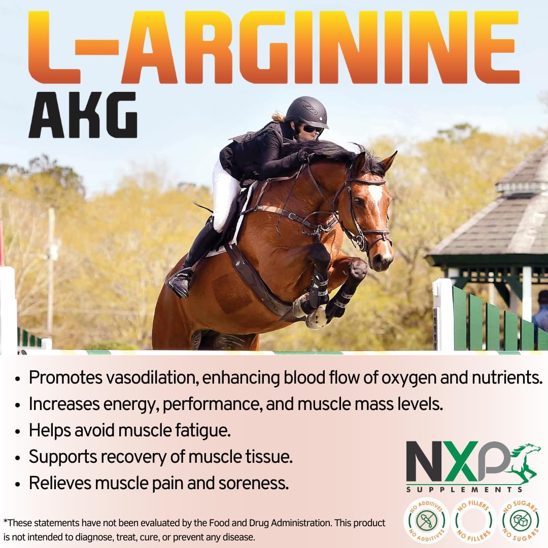 L-Arginine AKG - Boosts Performance, Muscle, Energy & Recovery Nitric Oxide Booster Vasodilation Nutrient Flow Support Supplement for Horses - 1 lb / 45 Servings