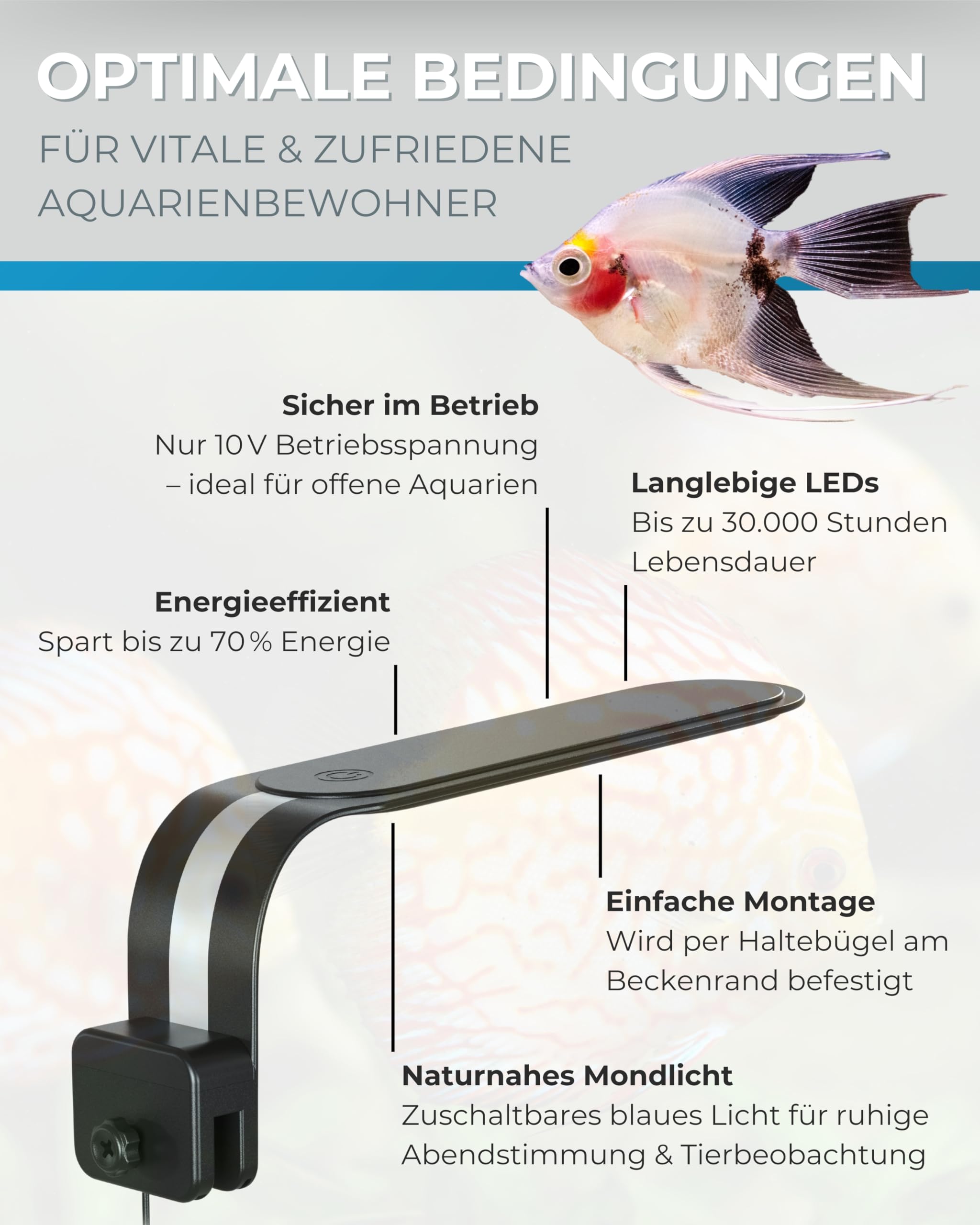 Dupla Nano Lux LED I 5 W I Dimmbare LED-Beleuchtung für Süßwasseraquarien von 15-40 Liter I Aquarium Lampe mit einstellbarer Farbtemperatur I Aquarien Licht für gesundes Pflanzenwachstum