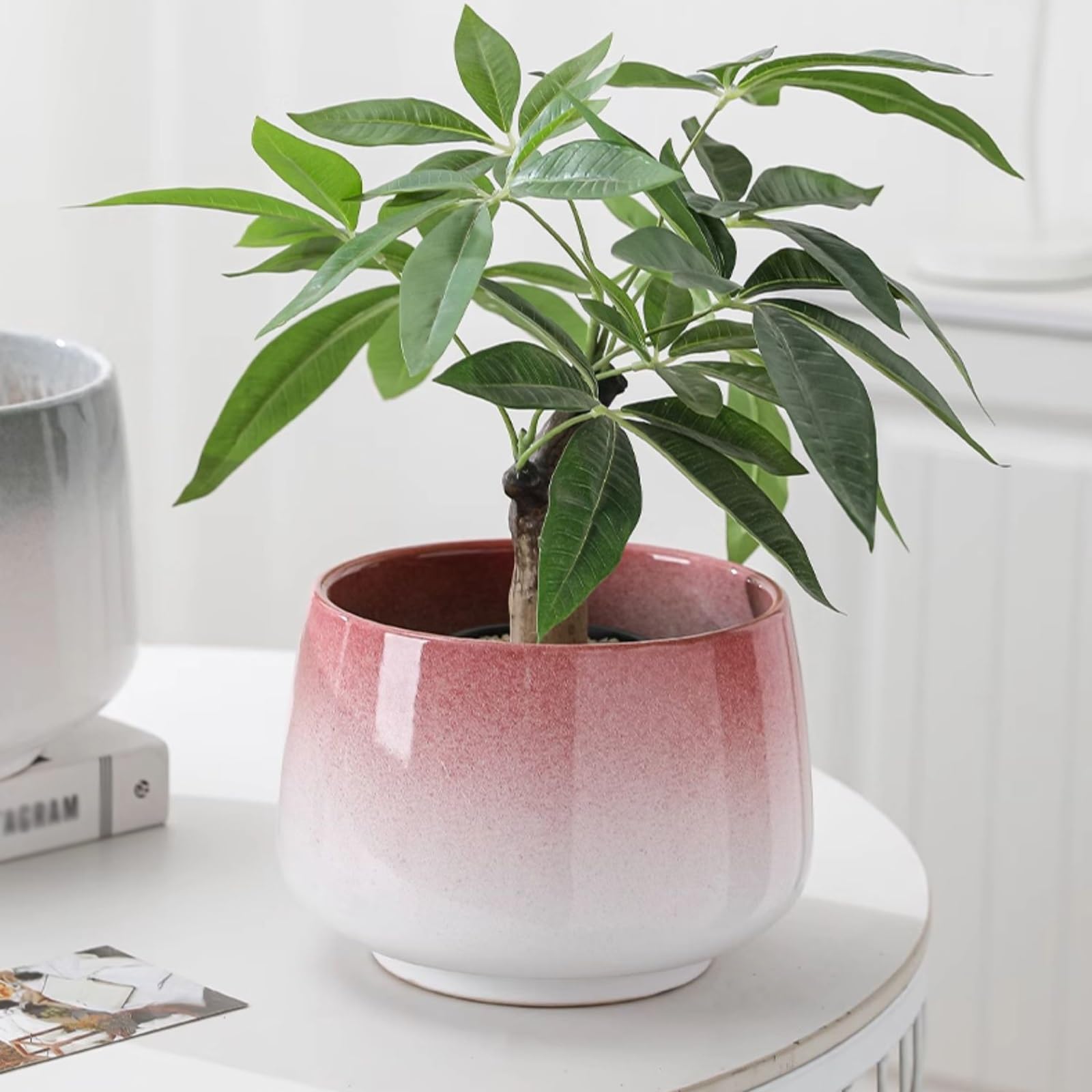macetas para plantas Doniczka dobrze komponuje się z orchideą, kaktusem, sukulentami, aloesem, bazylią, kwiatami roślin powietrznych, wężownicą dla Domu Ogrodowego