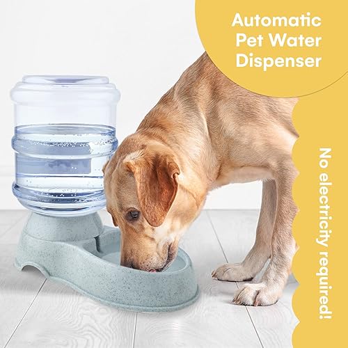 Vista 2 de Noa Store Dispensador automático de agua para mascotas Dispensador de agua para gatos de 1 y 3 galones y dispensador de alimentos para gatos, H20